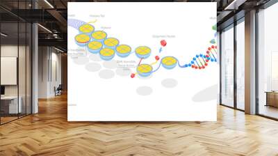 3D Isometric Flat  Conceptual Illustration of Epigenetic Mechanisms Wall mural