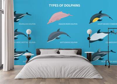 3D Isometric Flat Vector Set of Types Of Dolphins, Educational Classification Wall mural