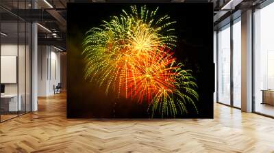 Colorful fireworks on the black sky Wall mural