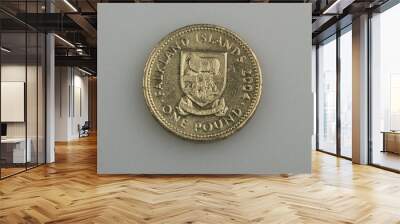 One pound of the Falkland or Malvinas Islands. Wall mural