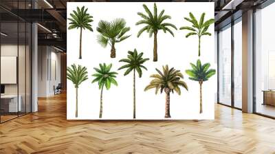 Colourful hand drawn palm tree. Retro tropical coconut trees, vintage miami palms vector illustration set. Tropical tree palm, green floral botanical Wall mural