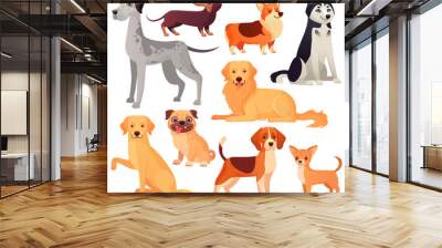 dogs pets character. labrador dog, golden retriever and husky. cartoon vector isolated illustration  Wall mural