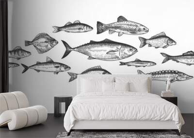 Fish school. Hand drawn fishes shoal, underwater marine ecosystem, sea and river inhabitants vintage engraved style vector set. Trot, perch and anchovy, herring and mackerel, delicacy food Wall mural