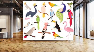 Flat parrots and tropical jungle birds flying and sitting. Macaw, parakeet, ara and colombia exotic parrot. Toucan and emu bird vector set Wall mural