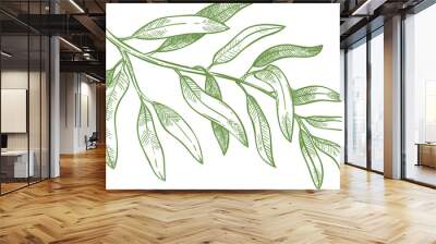 Hand drawn olive branch Wall mural