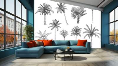 Hand drawn tropical palm trees. Vector set of hawaii beach palm tree, fern and frond outline, botany flora tropical illustration Wall mural