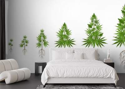 Hemp plant growth cycle. Cannabis cultivation, planting marijuana seeds and hemps plants stages of growth vector illustration. Ganja life development or vegetation steps - sprout, seedling, bloom. Wall mural