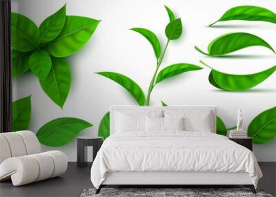 Realistic 3d fresh tea green leaves and branches. Flying tree leaf. Tea or mint plant elements. Ecology, nature and vegan symbol vector set Wall mural