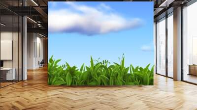 realistic nature landscape with fresh grass and blue sky with clouds. spring green farm or football  Wall mural