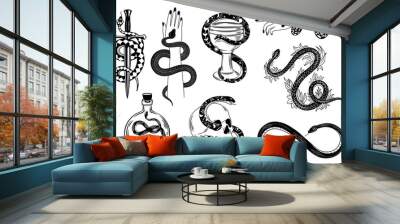 Snakes tattoo. Occult snake wrapped around hand, skull, dagger, bowl and poison. Serpent silhouette in flowers. Mystical tattoos vector set Wall mural