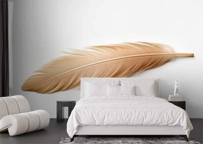 A feather isolated on a white background Wall mural