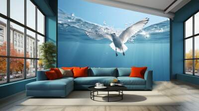 Closeup of a seagull diving in the water Wall mural