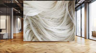 Blond hair closeup Wall mural