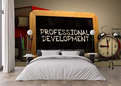 hand drawn professional development concept on chalkboard. Wall mural