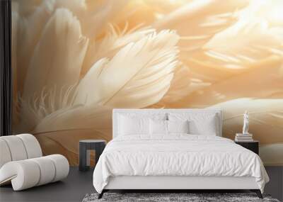 A close-up view of soft white feathers, showcasing their delicate and fluffy texture in warm light. Wall mural