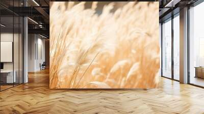 A dry grass and summer season, soft golden bokeh background Wall mural