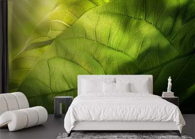 Detailed view of the intricate veins of a green leaf under the sunlight on a bright day Wall mural