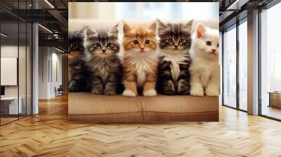 Five adorable colorful  kittens on the couch Wall mural