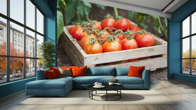 Ripe tomatoes are gathered in a wooden crate, showcasing their vibrant red color in a thriving garden, reflecting the fruits of summer Wall mural