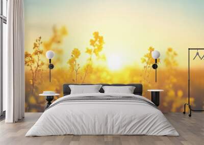 The sun rises, casting a warm glow over a lush field filled with blooming yellow flowers, creating a serene morning atmosphere Wall mural