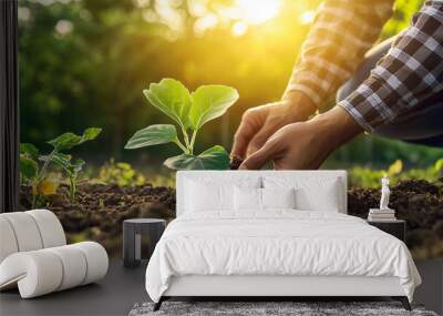 A close-up of hands planting a seedling in the soil, symbolizing the importance of agriculture, sustainability, and the growth of new life in harmony with nature. Wall mural