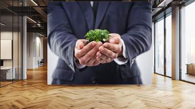 They feel strongly about the earth. Shot fo a business man holding a plant. Wall mural