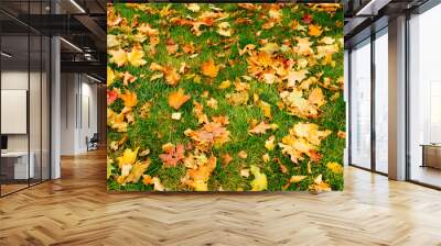 abstract background of autumn leaves of bright red-yellow color on green grass, top view Wall mural