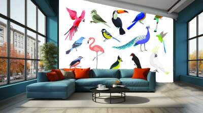 A collection of colorful birds .Seasonal and tropical birds. Vector illustration on a white background.Beautiful realistic birds. Exotic birds. Drawings for design and magazines. Wall mural