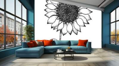 Retro black outline ink pen sketch of sunflower. Hand drawn illustration of beautiful sun flower isolated on white background for botanical pattern design, greeting card decoration Wall mural