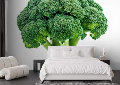 broccoli isolated on white background Wall mural