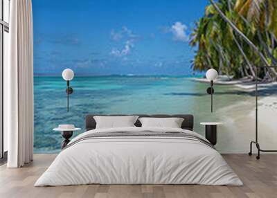 A beautiful beach with palm trees and clear blue water Wall mural