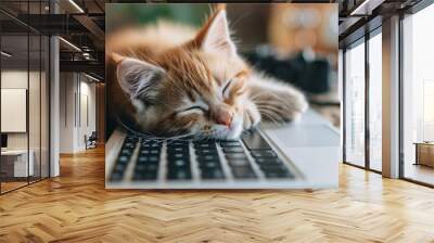 A cat is sleeping on a keyboard Wall mural