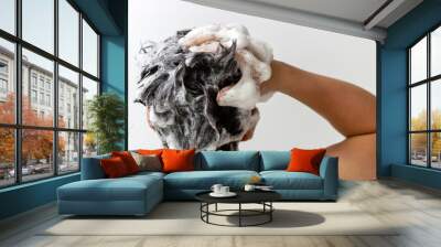 A man washes his head with shampoo on white background, rear view Wall mural