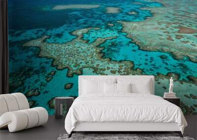 Aerial view of a turquoise ocean with vibrant coral reefs below. Wall mural