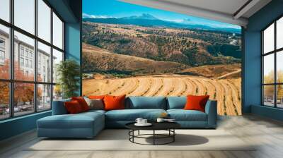 Aerial view of an agave plantation and two volcanoes Wall mural