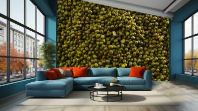 Agricultural products background. Texture of green beans mung bean. Vegetarian and vegan organic food. Top view Wall mural