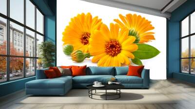 Calendula. Flowers with leaves isolated on white Wall mural