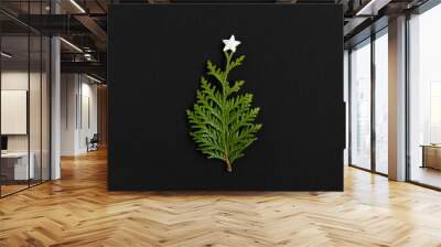 Christmas tree made of thuja sprig with a white star on a dark background. Concept of an alternative Christmas tree. Wall mural