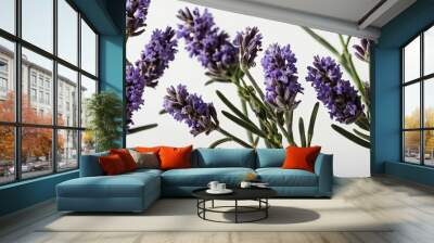 Delicate Lavender Sprig Isolated Wall mural