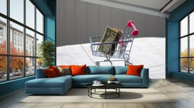 dollar in the shopping cart Wall mural