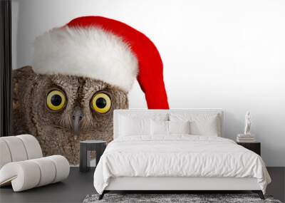 European scops owl, Otus scops, with santa hat. Isolated on white background Wall mural