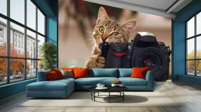 Funny cat with a camera Wall mural