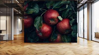 Harvest of ripe juicy red apples on a branch in the garden, agribusiness business concept, organic healthy food and non-GMO fruits with copy space
 Wall mural