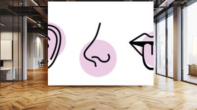 Human sense five types. Vision through eye, smell with nose, taste with tongue. Symbols Drawn icon. Isolated flat vector illustration on white background Wall mural