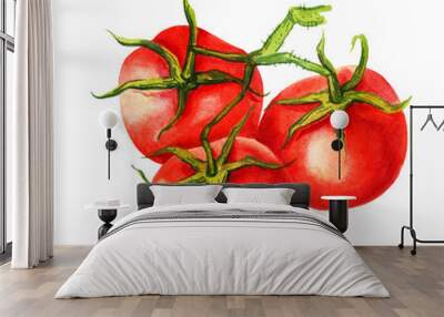 illustration of tomatos, watercolour branch of red ripe tomato with leaves, fresh vegetable Wall mural