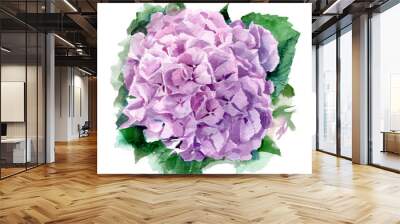 Hydrangea watercolor illustration. Pink summer flower on a white background. Wall mural