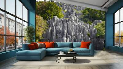 Gorgeous black limestone rocks of Shilin Stone Forest, Kunming, Yunnan, China. A part of the UNESCO'S World Heritage site South China Karst  Wall mural