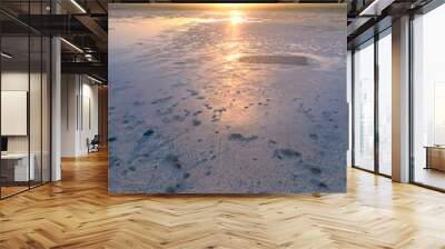 People enjoying the magnificent sunset on Chaka salt lake, Qinghai, China, drone aerial Wall mural