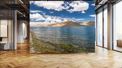 Shadow of Cloud over the clear turquoise lake, at Yamdrok Lake, Tibet, China Wall mural