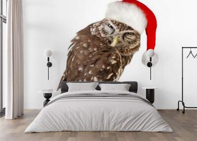 Little Owl (Athene noctua) standing with santa hat. Isolated on white background Wall mural